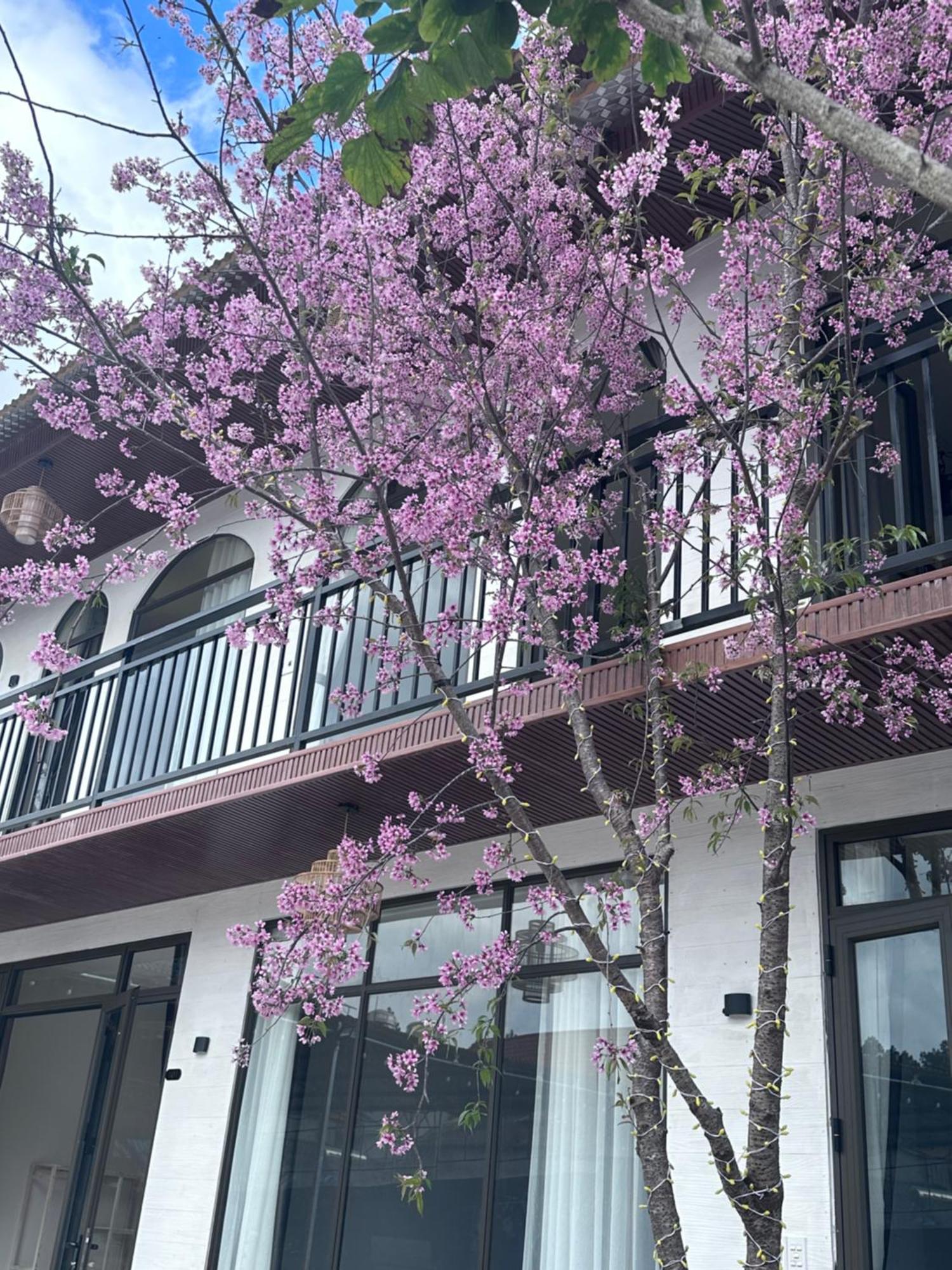 Bin House - Moc Chau Hotel Exterior photo